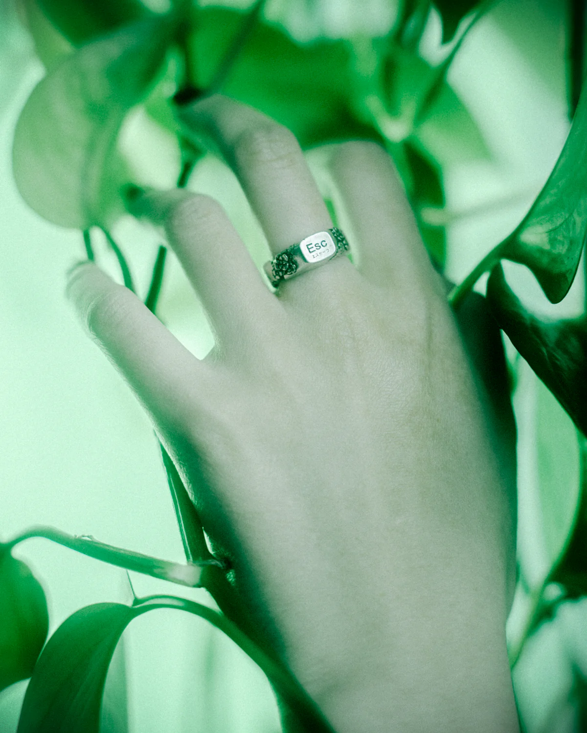 The Escape Ring - Image 6